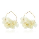Ladies' Earrings G255 23