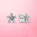 Ladies' Earrings G368 44
