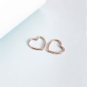 Ladies' Earrings G368 60