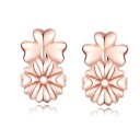 Ladies' Earrings G697 5