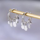 Ladies' Earrings H764 4