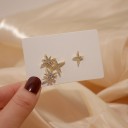 Ladies' Earrings H800 6