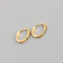 Ladies' Earrings J120 26