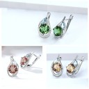 Ladies' Earrings with Gemstone R71 9