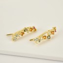 Ladies' Earrings with Stones A1704 18