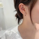 Ladies' Earrings with Zirconia G209 3