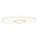 Ladies' Elastic Belt L182 1