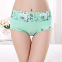 Ladies' Floral Briefs J3194 9