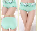 Ladies' Floral Briefs J3194 13