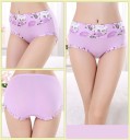 Ladies' Floral Briefs J3194 18