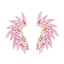 Ladies' Framed Earrings with Stones H809 11