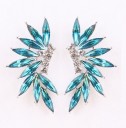 Ladies' Framed Earrings with Stones H809 28