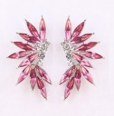 Ladies' Framed Earrings with Stones H809 29