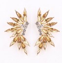 Ladies' Framed Earrings with Stones H809 30