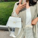 Ladies' Handbag with Crocodile Skin Pattern M1745 9