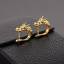 Ladies' Hoop Earrings C1071 5