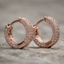 Ladies' Hoop Earrings G1246 24