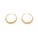 Ladies' Hoop Earrings G892 1