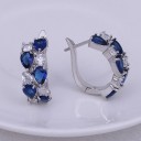 Ladies' Hoop Earrings H726 5