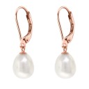 Ladies' Hoop Earrings with Pendant A1698 3