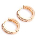 Ladies' Hoop Earrings with Zirconia G365 2