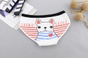 Ladies' Knickers with Dog 8