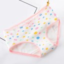 Ladies' Knickers with Various Patterns 1