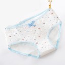 Ladies' Knickers with Various Patterns 4