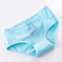 Ladies' Knickers with Various Patterns 7