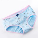 Ladies' Knickers with Various Patterns 10