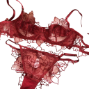 Ladies' Lace Lingerie Set with Embroidery Bra and Briefs Polyester Elastane for Everyday Wear 1