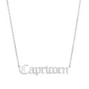Ladies' Necklace with Latin Names 2
