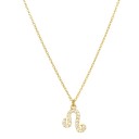 Ladies' Necklace with Symbols 5