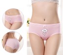 Ladies' Panties - 5 Pieces 10