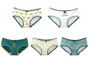 Ladies' Panties - 5 Pieces 21