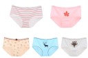 Ladies' Panties - 5 Pieces 30