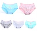 Ladies' Panties - 5 Pieces 32