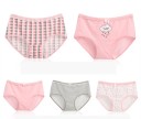 Ladies' Panties - 5 Pieces 43