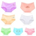 Ladies' Panties - 5 Pieces 47