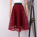 Ladies' Perforated Skirt with Underskirt 5