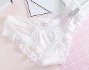 Ladies' Sheer Knickers 1