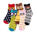 Ladies' Socks - Owls - 5 Pairs 2