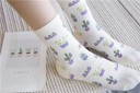 Ladies' Socks with Cacti 10