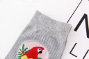Ladies' Socks with Parrots 11