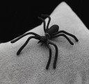 Ladies' Spider Earring Two-part stud creating the impression of a spider on the ear Matte black colour Costume jewellery metal 40 x 40 mm Original 2