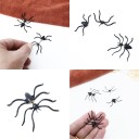Ladies' Spider Earrings 5