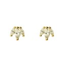 Ladies' Stud Earrings A1684 6