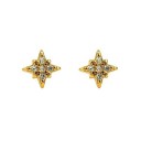 Ladies' Stud Earrings A1684 9