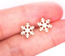 Ladies' Stud Earrings H799 9