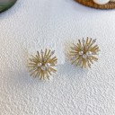 Ladies Stud Earrings J210 3